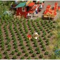 Strawberry Plants -- Kit pkg(40), HO, Busch Gmbh & Co Kg 1265