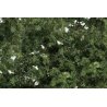 Shrubs & Saplings -- Medium Grn 60 Cubic Inches, HO, Woodland Scenics 1129