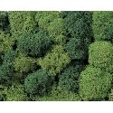 Lichen Double-Pack - 2-3/4oz 78g -- Light & Dark Green, All Scales, Noch Gmbh & Co 8621