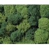 Lichen Double-Pack - 2-3/4oz 78g -- Light & Dark Green, All Scales, Noch Gmbh & Co 8621
