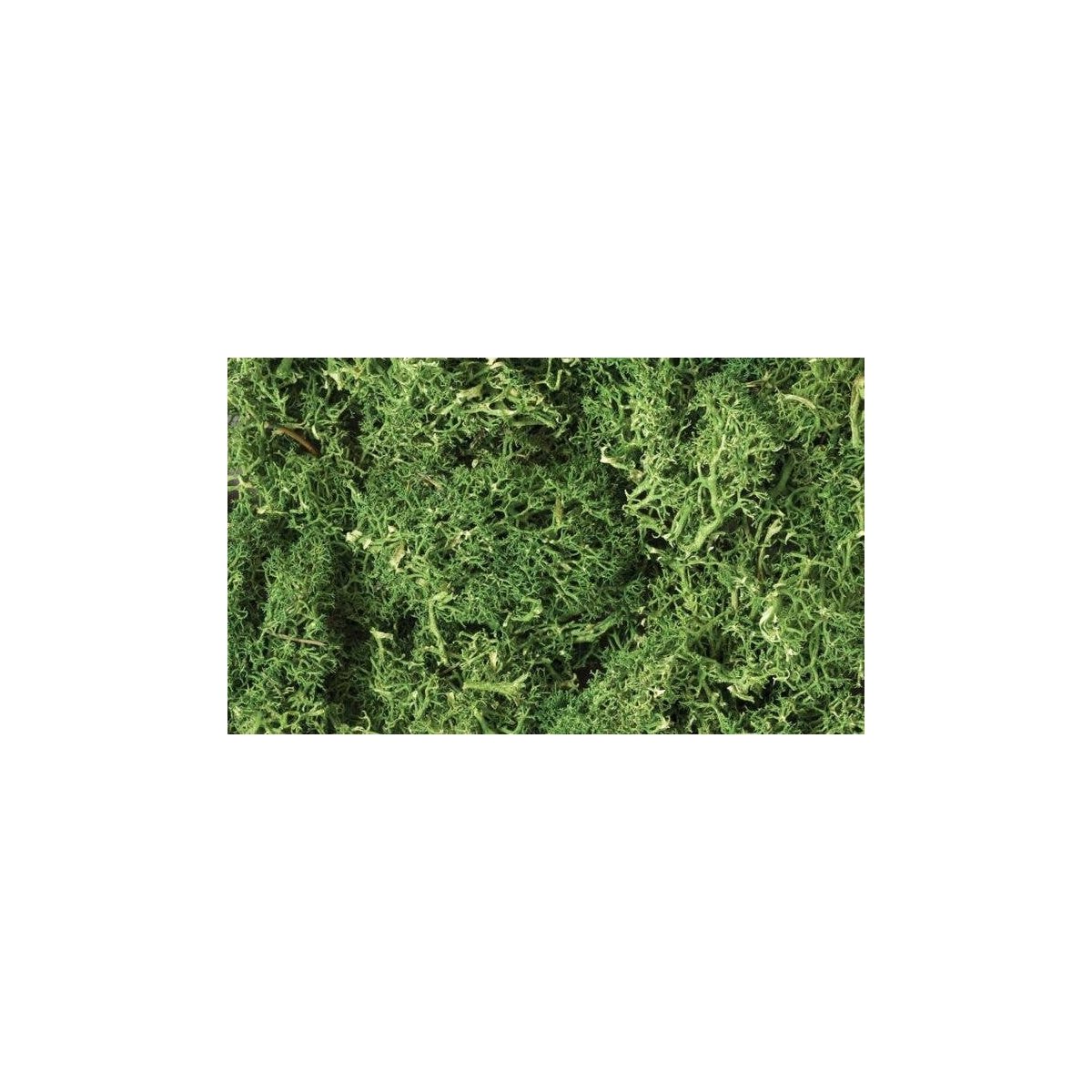 Lichen - 1.5qts 1.4L -- Medium Green, All Scales, Woodland Scenics 163