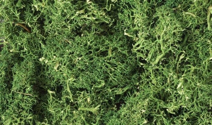 Lichen - 1.5qts 1.4L -- Medium Green, All Scales, Woodland Scenics 163