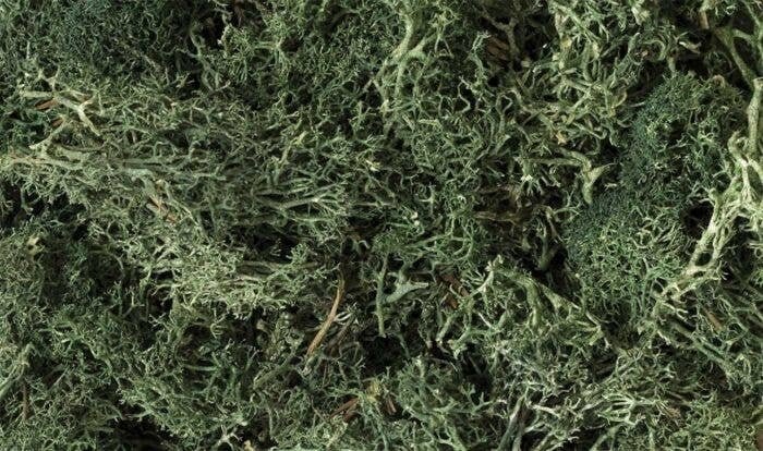 Lichen - 1.5qts 1.4L -- Dark Green, All Scales, Woodland Scenics 164