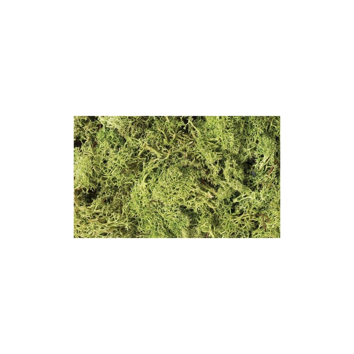 Lichen - 1.5qts 1.4L -- Light Green, All Scales, Woodland Scenics 162