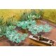 Water Lilies -- Total Area Approx. 60cm, All Scales, Noch Gmbh & Co 14114