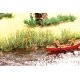 Water Lillies - Laser-Cut Minis(R) -- Makes 18 Plants, HO, Noch Gmbh & Co 14140