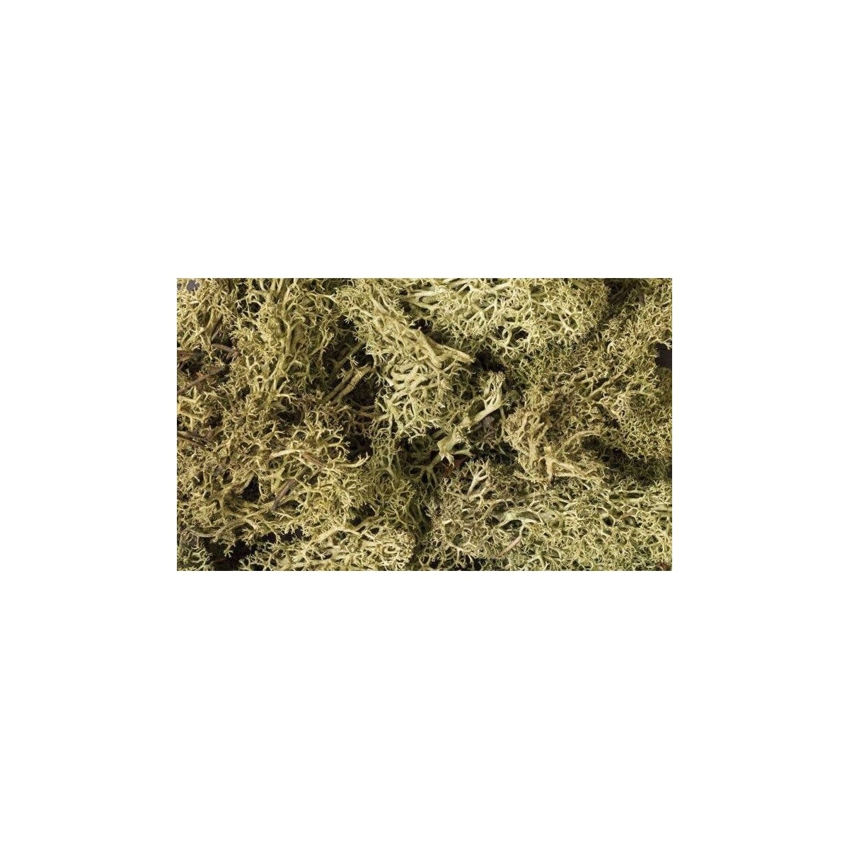 Lichen - 1.5qts 1.4L -- Spring Green, All Scales, Woodland Scenics 161