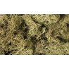 Lichen - 1.5qts 1.4L -- Spring Green, All Scales, Woodland Scenics 161