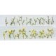 Daisies -- 7/8′ 2.2cm Tall pkg(24), O, JTT Miniature Tree 95544