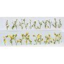 Daisies -- 7/8′ 2.2cm Tall pkg(24), O, JTT Miniature Tree 95544