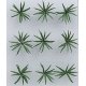 Ferns -- 1′ 2.5cm Wide pkg(9), O, JTT Miniature Tree 95534