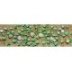 Cantaloupe Patch -- pkg(4), O, JTT Miniature Tree 95574