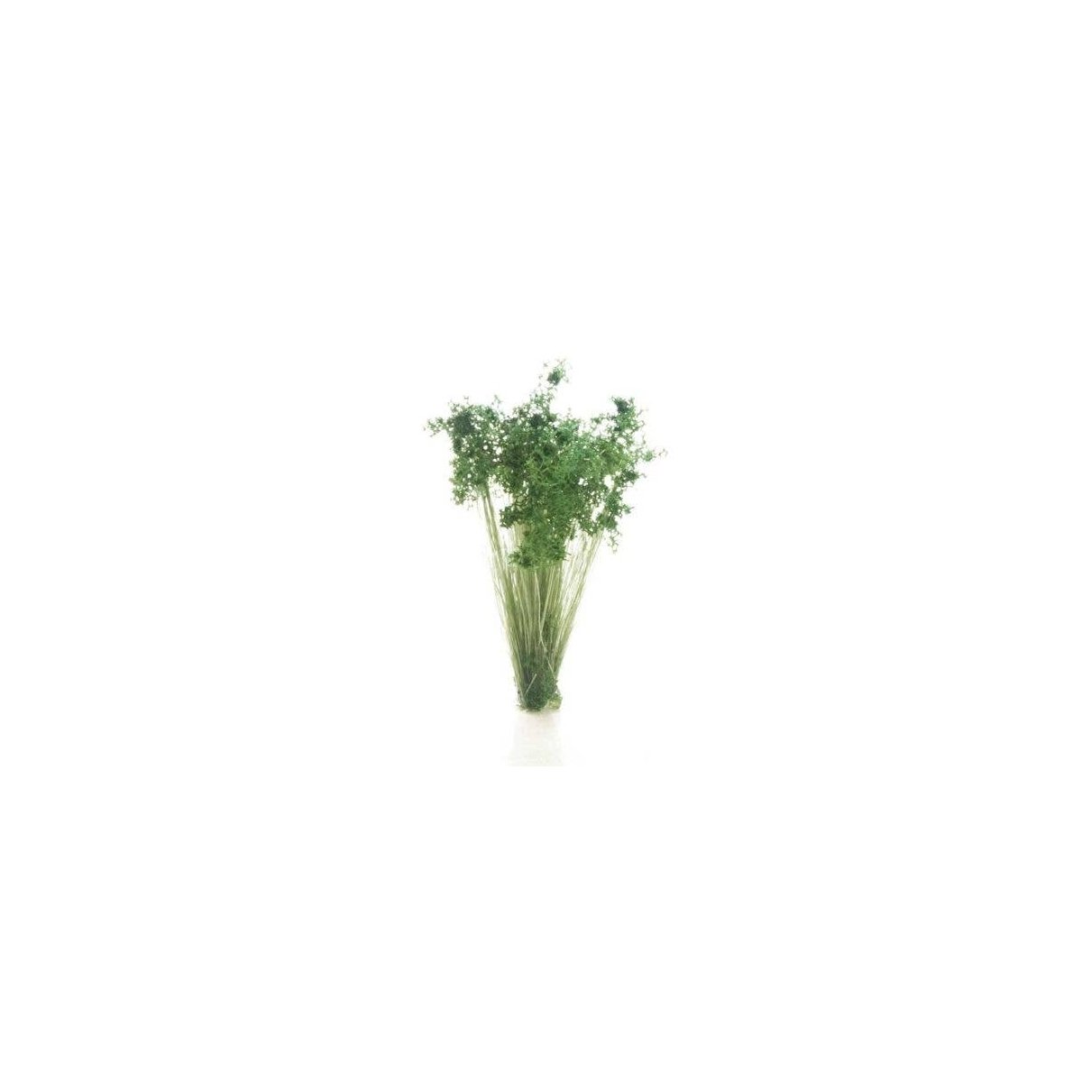 Peel `n` Plant Tufts - All Game Terrain -- Dark Green Shrubs, All Scales, Woodland Scenics 6632
