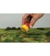 Flowers - All Game Terrain, All Scales, Woodland Scenics 6474