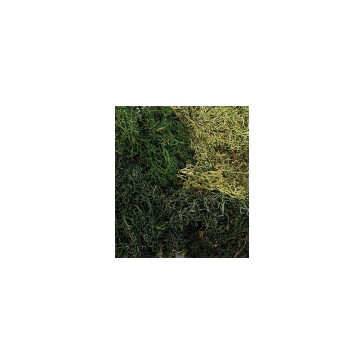 EZ Bushes - All Game Terrain -- Summer Mix, All Scales, Woodland Scenics 6501