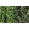 Lichen - 48oz 2.84L -- Dark Green Mix, All Scales, Woodland Scenics 168
