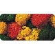 Lichen Double-Pack - 2-3/4oz 78g -- Autumn, All Scales, Noch Gmbh & Co 8620