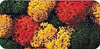 Lichen Double-Pack - 2-3/4oz 78g -- Autumn, All Scales, Noch Gmbh & Co 8620