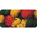 Lichen Double-Pack - 2-3/4oz 78g -- Autumn, All Scales, Noch Gmbh & Co 8620