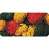 Lichen Double-Pack - 2-3/4oz 78g -- Autumn, All Scales, Noch Gmbh & Co 8620