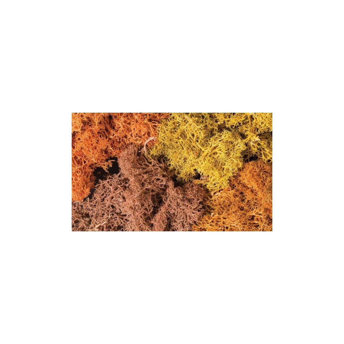 Lichen - 1.5qts 1.4L -- Autumn Mix, All Scales, Woodland Scenics 165