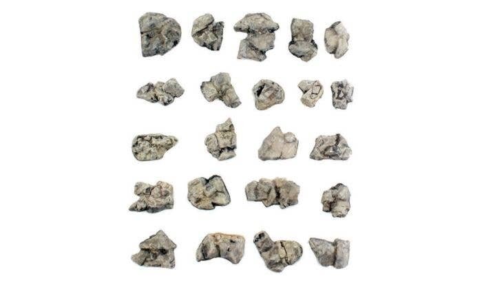 Boulders - Ready Rocks -- 22 Pieces, All Scales, Woodland Scenics 1142