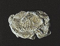 Rock Molds - 5 x 7′ 12.7 x 17.7cm -- Wind Rock, All Scales, Woodland Scenics 1237