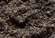 Scatter Material Ballast - 1.58oz 44.8g -- Gray, All Scales, Faller Gmbh 170706