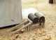 Oil Drum Rack w/Drums -- Kit, HO, B.T.S. 23000
