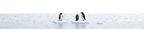 Penguins on Ice Flows Complete Miniature Scene -- 3 Penguins, 3 Icebergs, & 8-1/4 x 5-13/16′ 2, HO, Busch Gmbh & Co Kg 7923