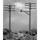 Telephone Poles, N, Atlas Model Railroad Co. 2801
