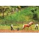 Garden and Field Fences -- 4 Different Styles, Total Length 117cm, HO, Faller Gmbh 180857