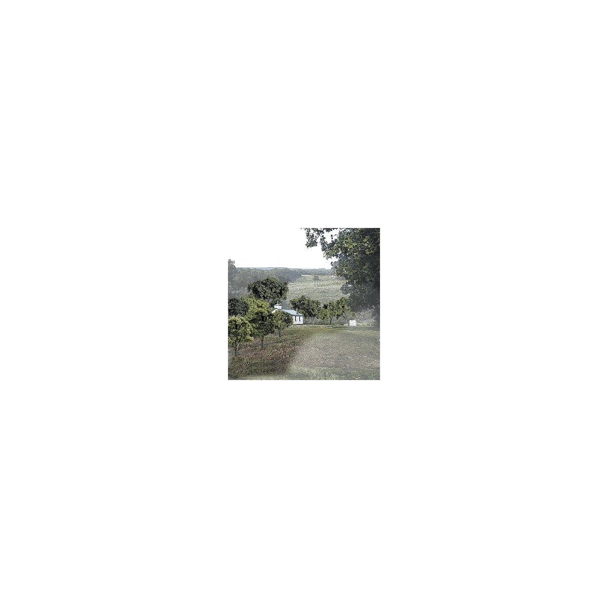 Mixed Green Deciduous Tree Pack - Ready Made Trees(TM) -- 3/4 to 2′ 1.9 to 5.1cm pkg(38, All Scales, Woodland Scenics 1570