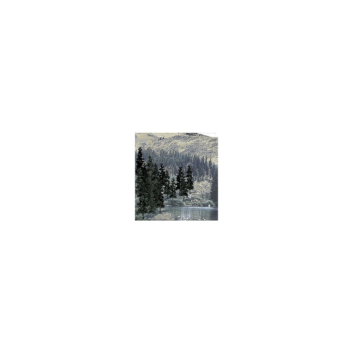 Coniferous Tree Pack - Ready Made Trees(TM) -- 4 to 6′ 10.2 to 15.2cm pkg(24), All Scales, Woodland Scenics 1581