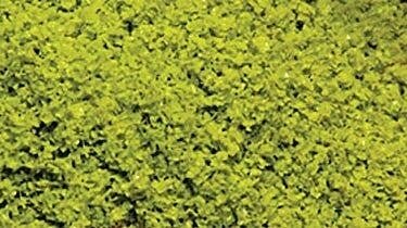 SuperLeaf Scale Model Leaf Flake - Shaker - 16oz 454g -- Light Green, All Scales, Scenic Express 6112