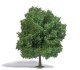 Chestnut Tree -- 8-11/16′ 22cm Tall, HO, Busch Gmbh & Co Kg 3763