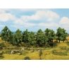 Deciduous Trees -- 5-1/2 to 7-1/16′ 14 to 18 cm Tall pkg(6), All Scales, Noch Gmbh & Co 24602