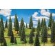 Fir Trees -- 2 to 5-7/8′ 5 to 15cm Tall pkg(25), All Scales, Faller Gmbh 181538