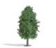 Summer Deciduous Tree - Exclusive -- 4-1/2′ 11.5cm Tall, HO, Busch Gmbh & Co Kg 3722