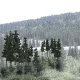 Coniferous Tree Pack - Ready Made Trees(TM) -- 2-1/2 to 4′ 6.4 to 10.2cm pkg(33), All Scales, Woodland Scenics 1580
