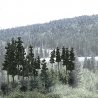 Coniferous Tree Pack - Ready Made Trees(TM) -- 2-1/2 to 4′ 6.4 to 10.2cm pkg(33), All Scales, Woodland Scenics 1580