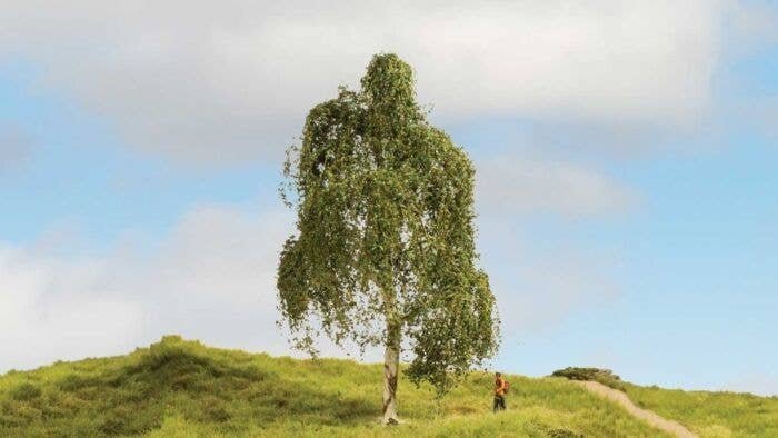 Silver Birch Tree - Master -- 7-1/16′ 18cm Tall, All Scales, Noch Gmbh & Co 20120