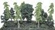Assorted Trees -- 2-1/2 to 5′ 6.4 to 12.7cm pkg(12), All Scales, Heki/Mini Forest 305