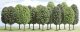 Deciduous Trees -- 2-3/4 to 4-15/16′ 7 to 12.5cm Tall pkg(12), All Scales, Busch Gmbh & Co Kg 6486