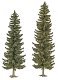 Spruce Trees pkg(2) -- 6-13/16 & 7-13/16′ 170 & 195mm Tall, HO, Busch Gmbh & Co Kg 6134