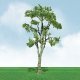 Pro-Elite Series Tree -- Gum - 3-1/2 to 4′ 8.9 to 10.2cm Tall pkg(2), HO, JTT Miniature Tree 92311