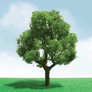 Deciduous Trees - Pro Elite -- 5-1/2′ 14cm, O, JTT Miniature Tree 92401