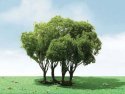 Privet Trees -- 1-3/4 - 2′ 4.4 - 5.1cm Tall pkg(3), All Scales, JTT Miniature Tree 92203