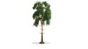 Pine Tree - Master -- 7-1/16′ 18cm Tall, All Scales, NOCH 20141