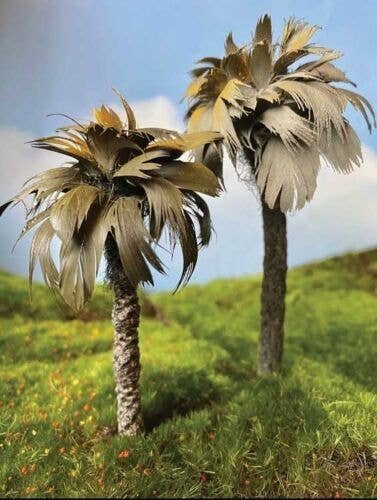 Mexican Palm Tree -- 5-6′ pkg(2), All Scales, Grand Central Scenery T25